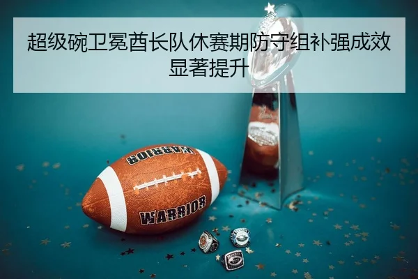 超级碗卫冕酋长队休赛期防守组补强成效显著提升