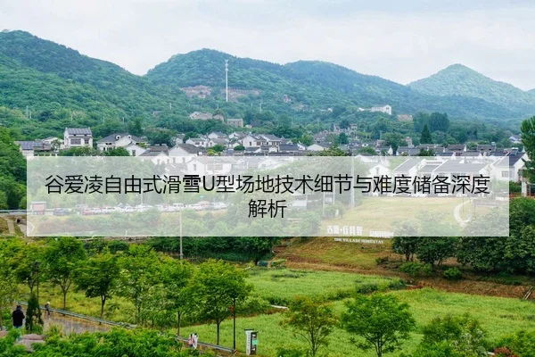 gu-ai-ling-zi-you-shi-hua-xue-xing-chang-di-ji-shu-xi-jie-yu-nan-du-chu-bei-shen-du-jie-xi-2-318.jpg