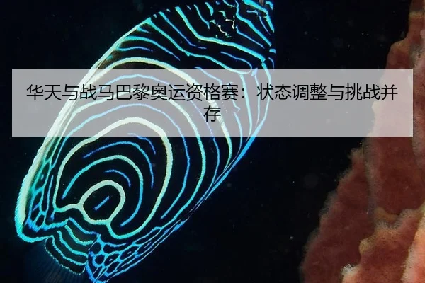 hua-tian-yu-zhan-ma-ba-li-ao-yun-zi-ge-sai-zhuang-tai-tiao-zheng-yu-tiao-zhan-bing-cun-2-593.jpg